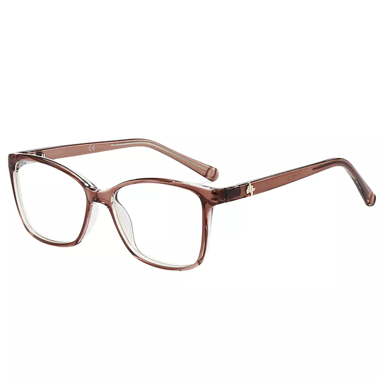 Lunettes de vue TR90 rétro à temple de tortue épissé